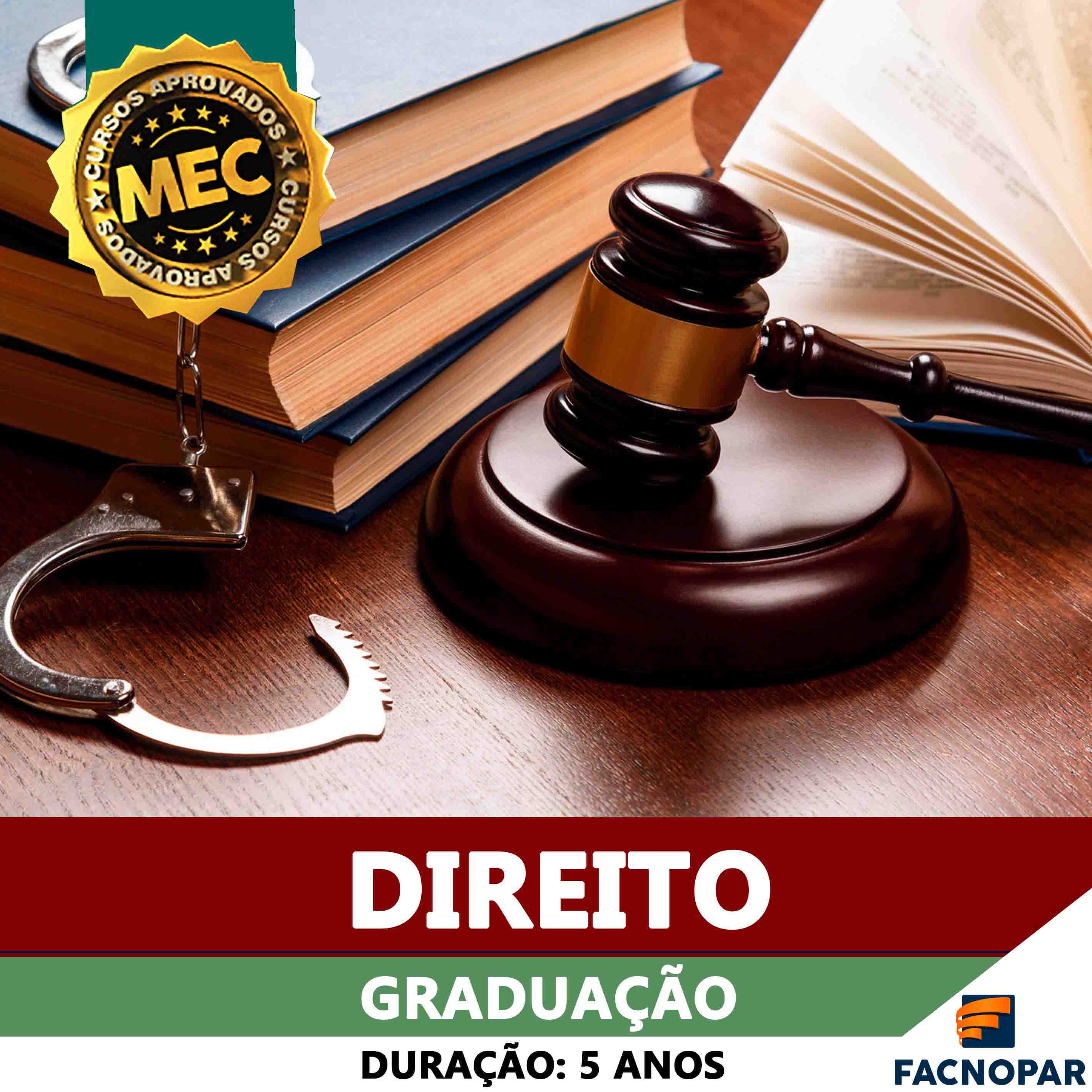 O Curso – Graduação em Direito