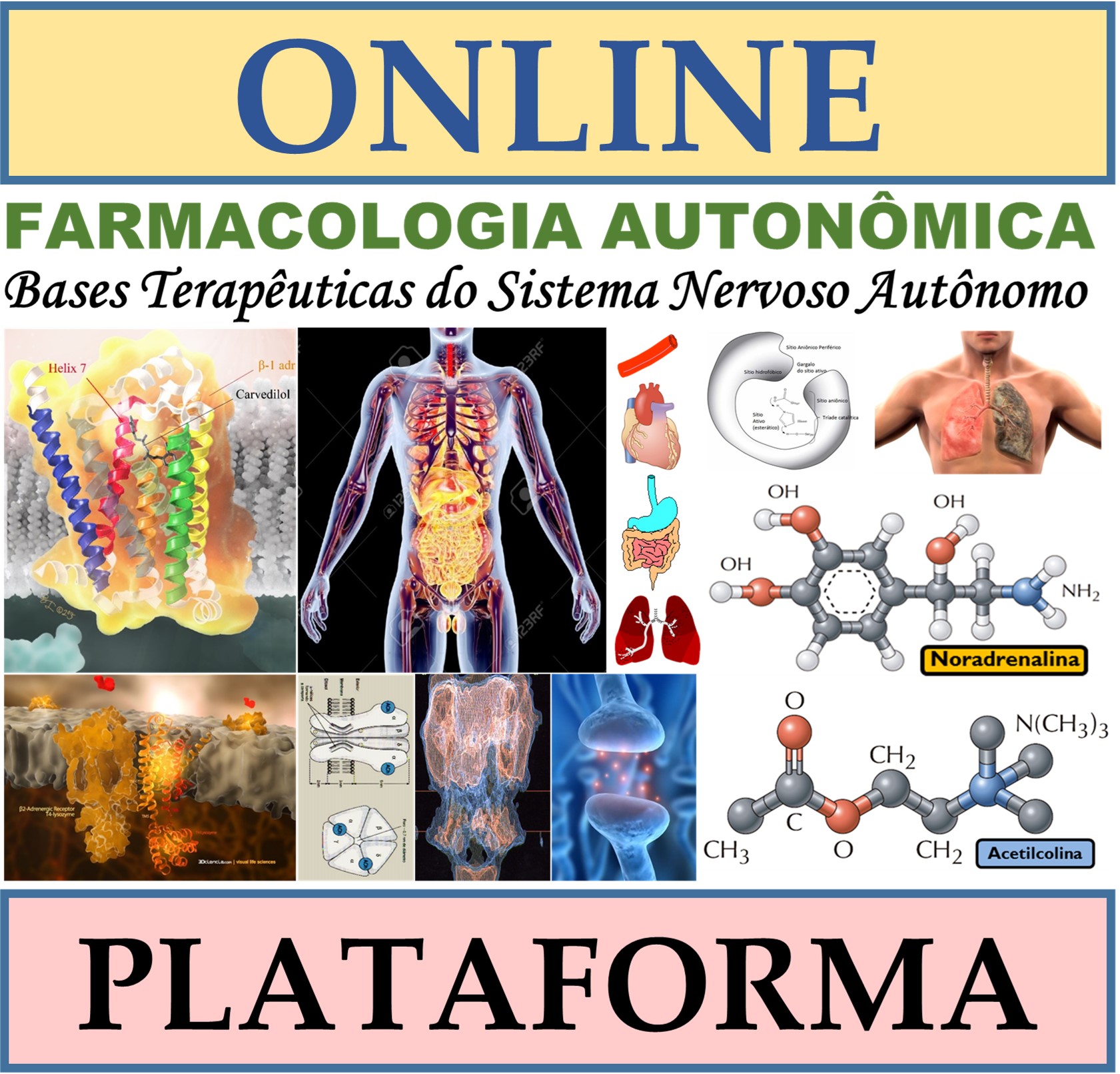 ANTAGONISTAS ADRENÉRGICOS - Farmacologia I