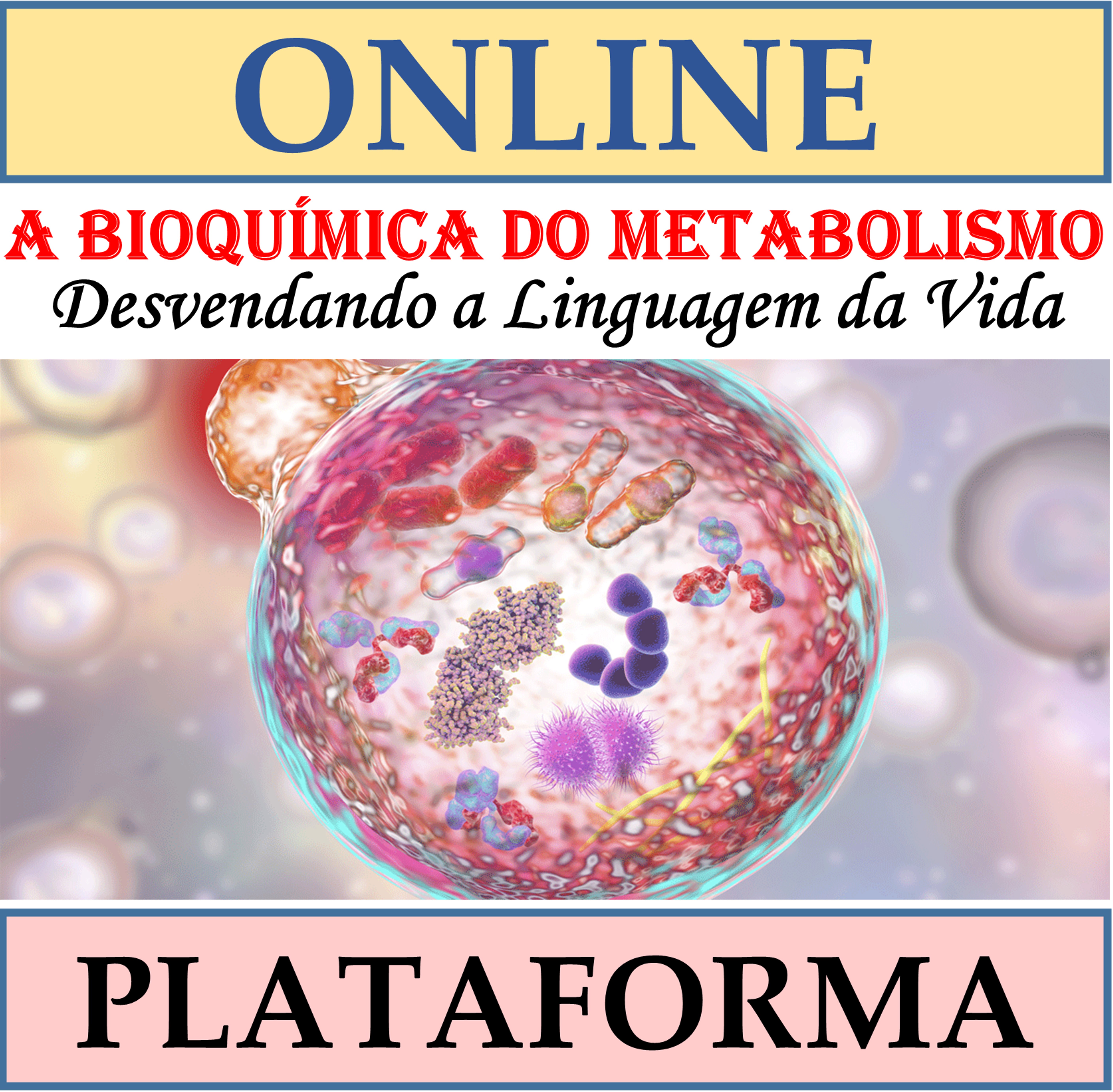 Bioquímica Básica e Metabolismo prova 2 - Bioquímica e Metabolismo Animal